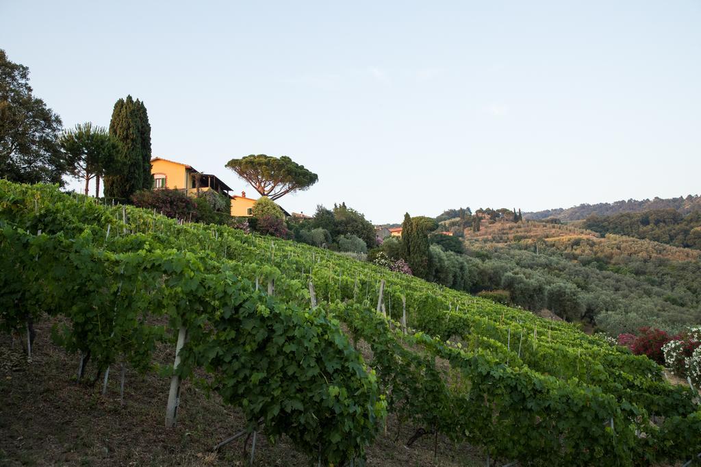 Casa Vacanze Casa Italia 람포레키오 외부 사진