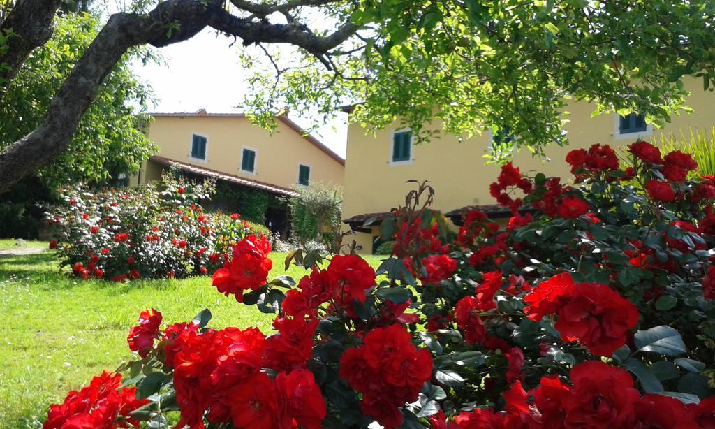 Casa Vacanze Casa Italia 람포레키오 외부 사진