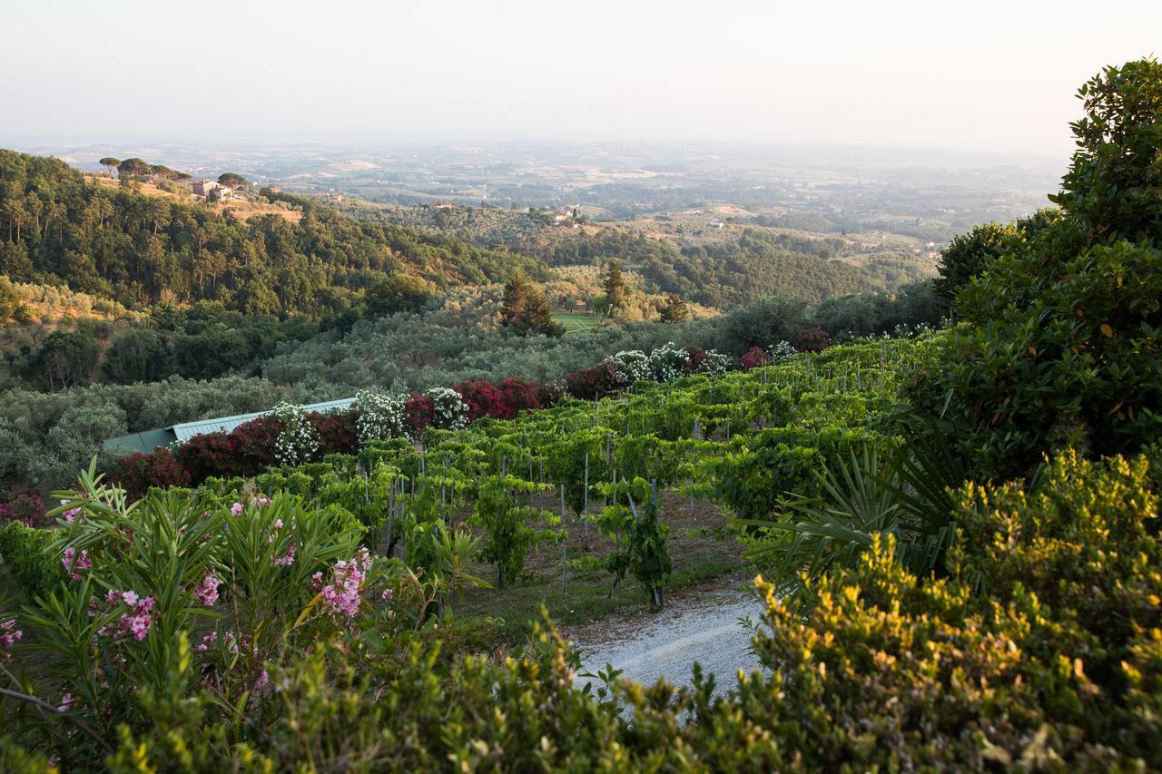 Casa Vacanze Casa Italia 람포레키오 외부 사진