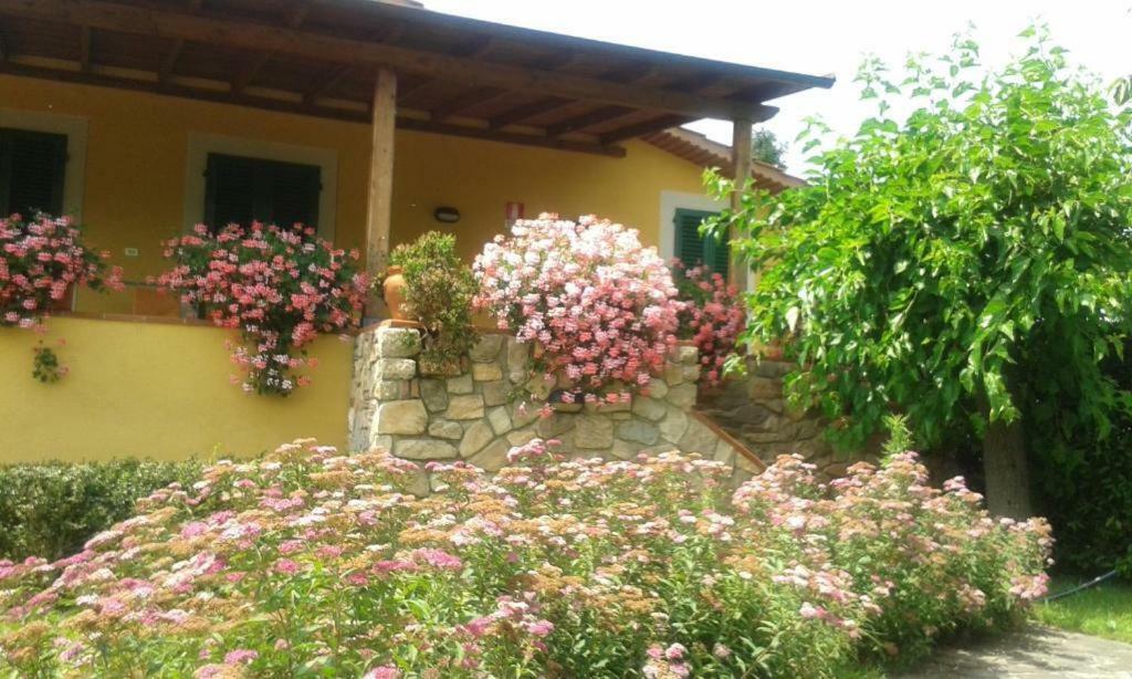 Casa Vacanze Casa Italia 람포레키오 외부 사진